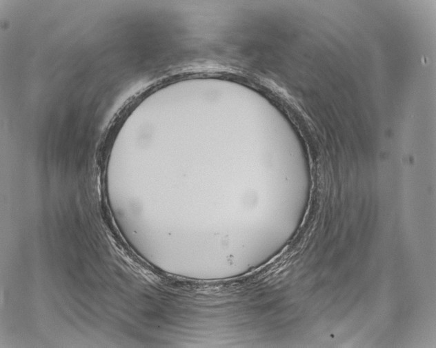 X0000069361408200606021441