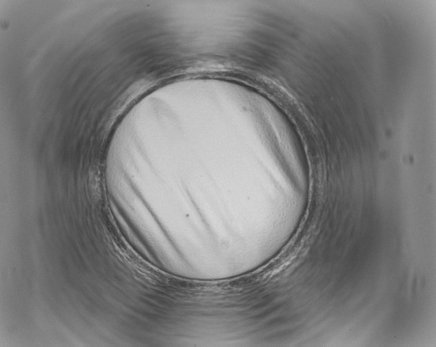 X0000069361409200606021441