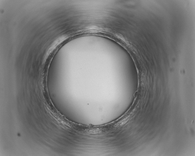 X0000069361410200606021441