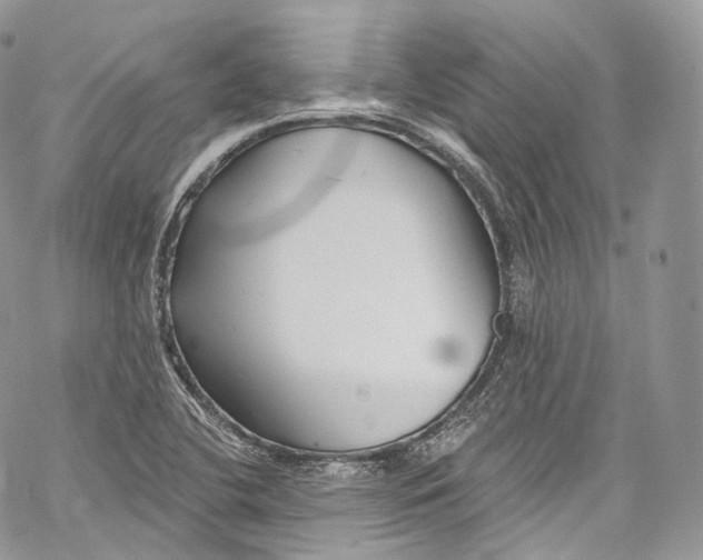 X0000069361412200606021441