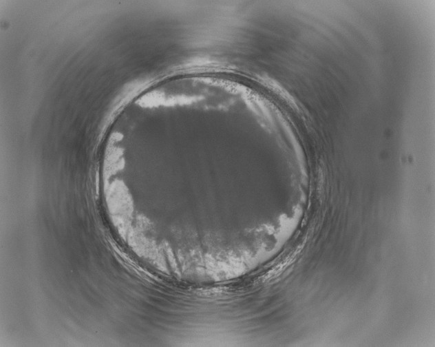 X0000069361413200606021441