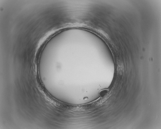 X0000069361414200606021441