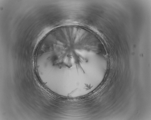 X0000069361415200606021442