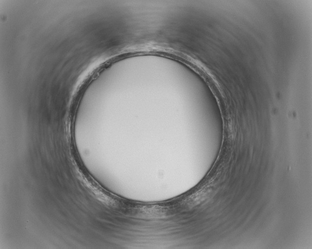 X0000069361416200606021442