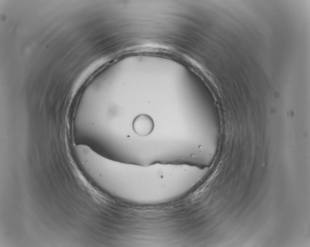 X0000069361418200606021442