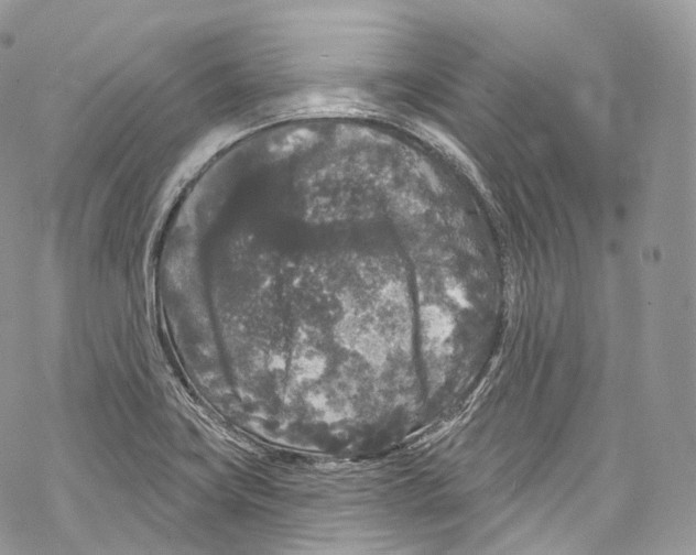 X0000069361419200606021442