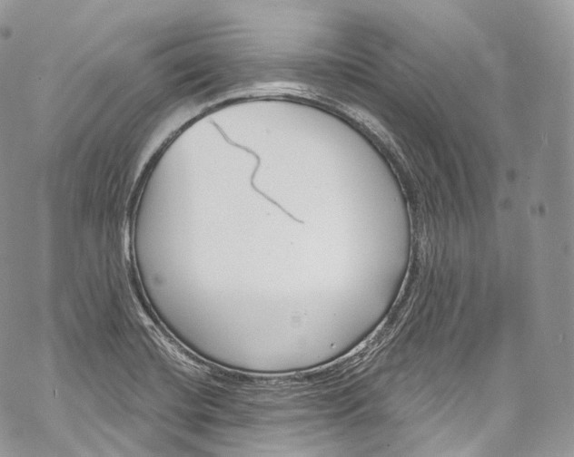 X0000069361420200606021442