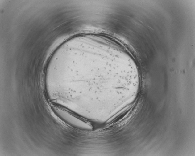 X0000069361421200606021442