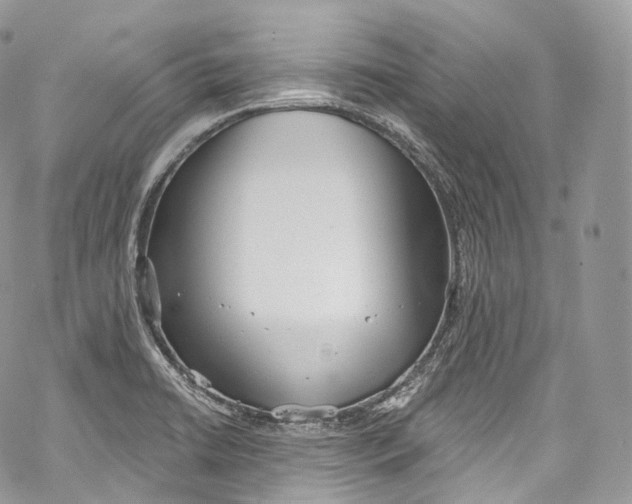 X0000069361422200606021442