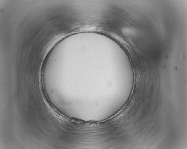 X0000069361423200606021442