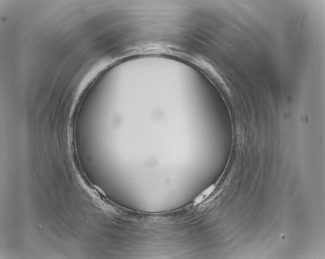 X0000069361424200606021442