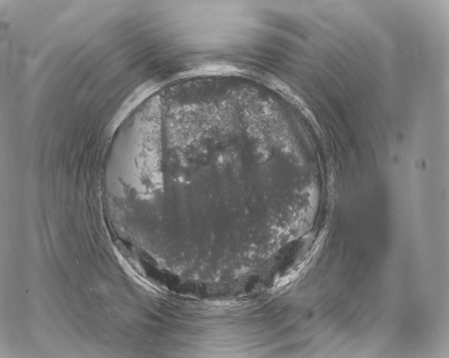 X0000069361425200606021442