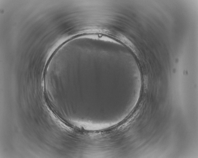 X0000069361428200606021442