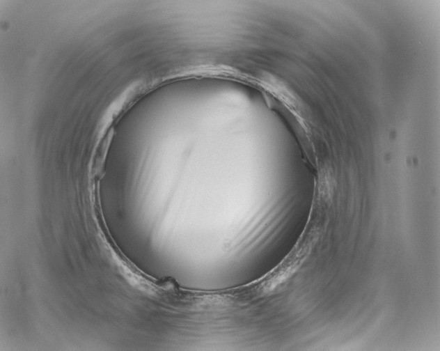 X0000069361430200606021442