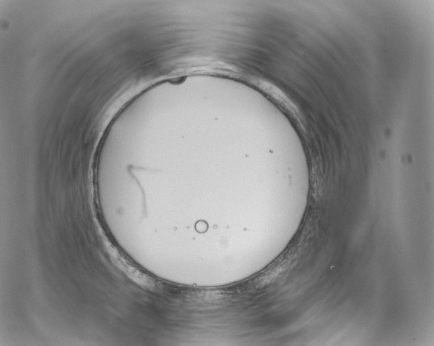 X0000069361431200606021442