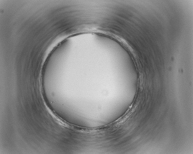 X0000069361432200606021442