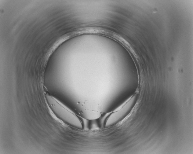 X0000069361433200606021442