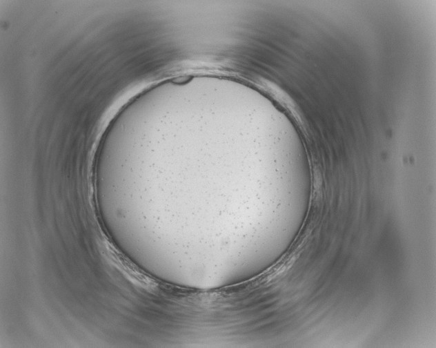 X0000069361435200606021442