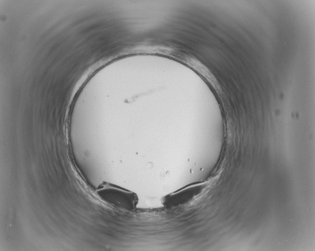 X0000069361436200606021442