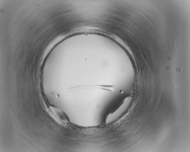 X0000069361437200606021442