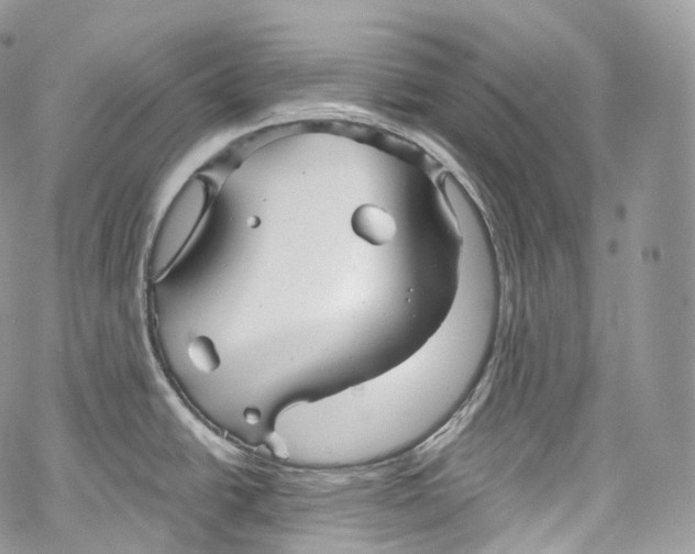 X0000069361438200606021442