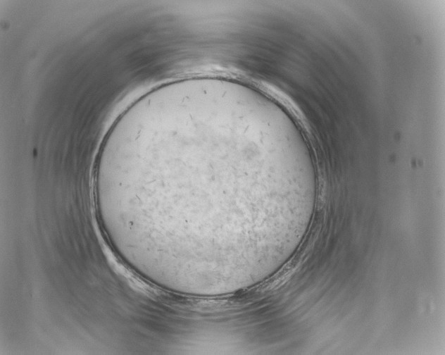 X0000069361439200606021442