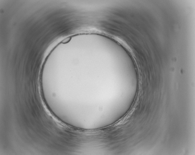 X0000069361440200606021442