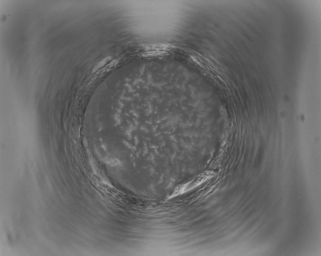 X0000069361441200606021441