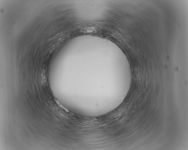 X0000069361442200606021441