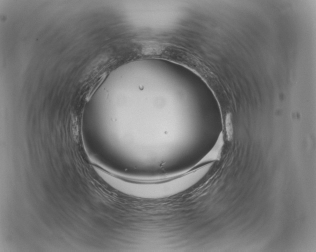 X0000069361443200606021441