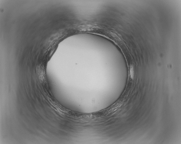 X0000069361444200606021441