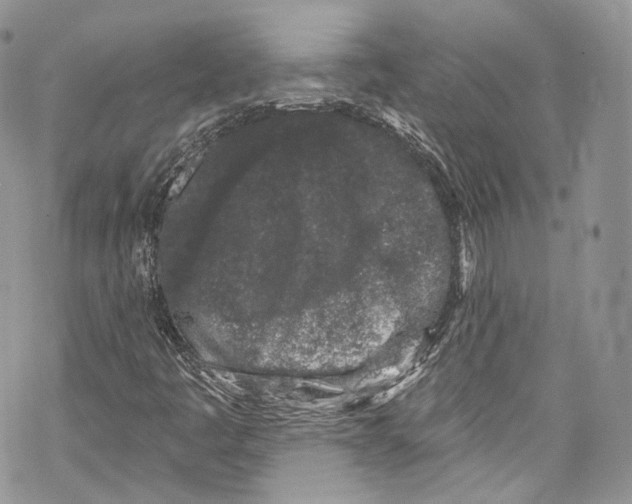 X0000069361445200606021441