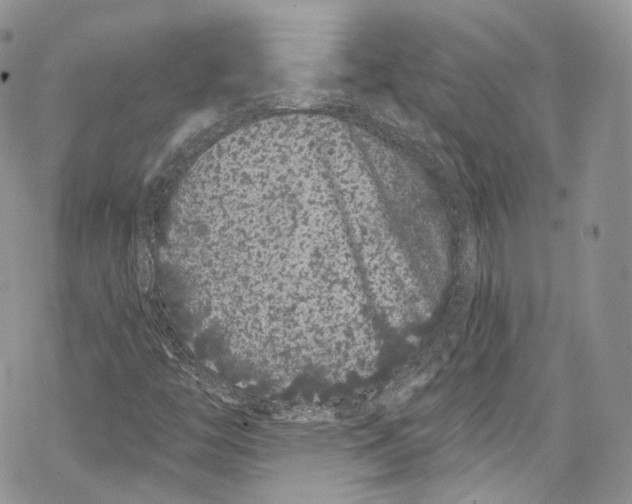 X0000069361446200606021441