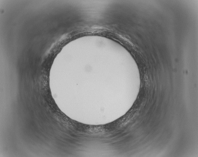 X0000069361447200606021441