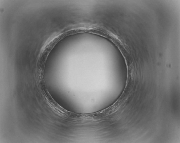 X0000069361448200606021441