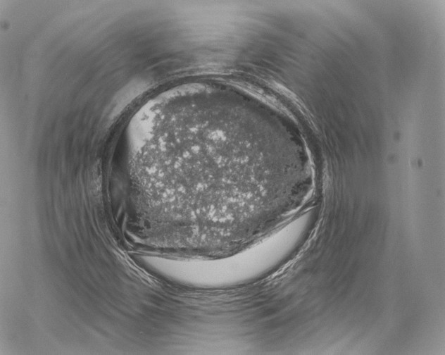 X0000069361450200606021441