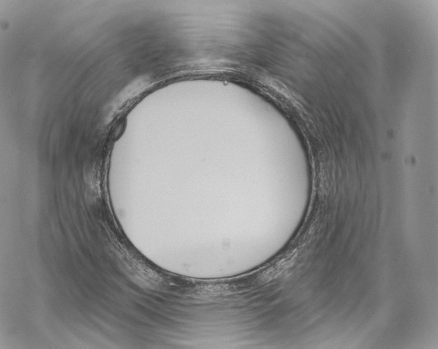 X0000069361451200606021441