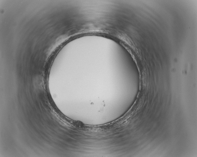 X0000069361452200606021441