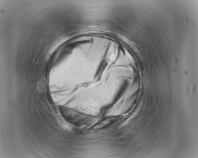 X0000069361453200606021441