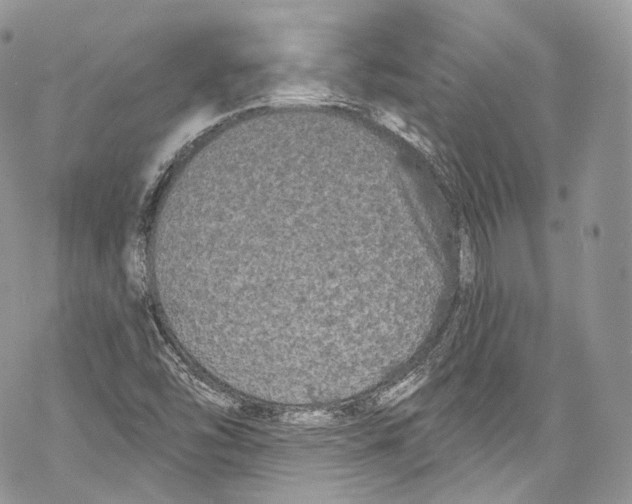 X0000069361454200606021441