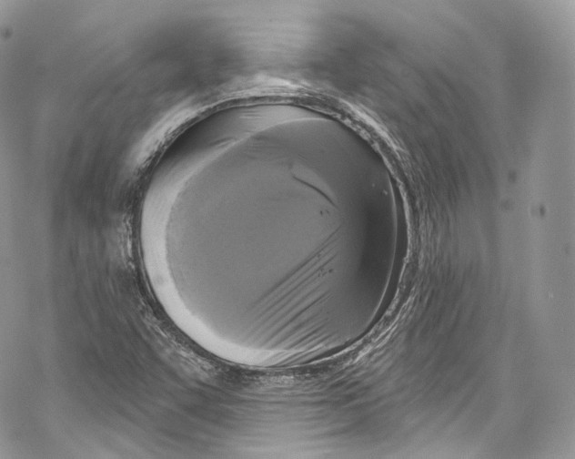 X0000069361455200606021441