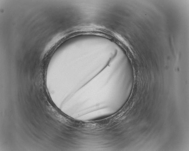 X0000069361456200606021441