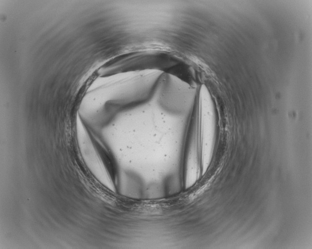 X0000069361457200606021441