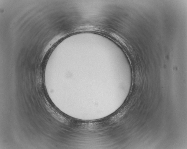 X0000069361458200606021441