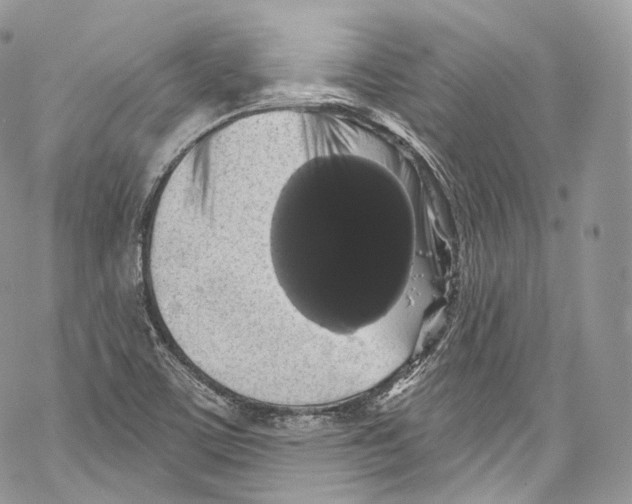 X0000069361459200606021441