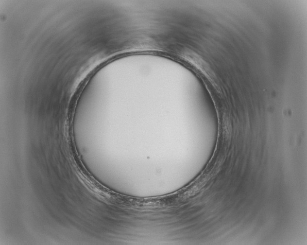 X0000069361460200606021441