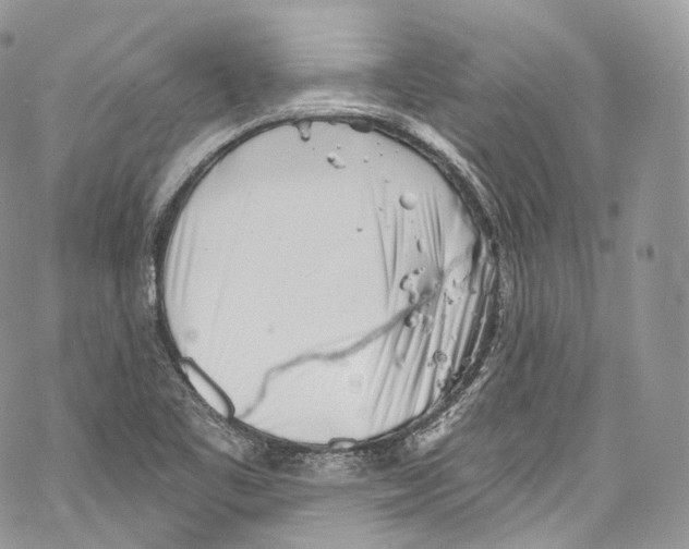 X0000069361461200606021441