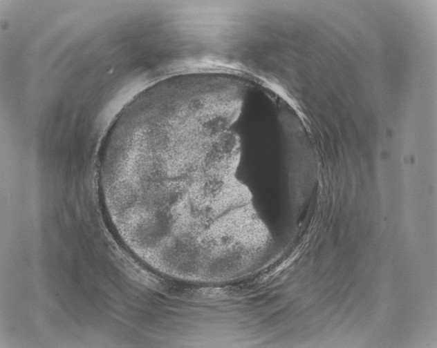 X0000069361463200606021441