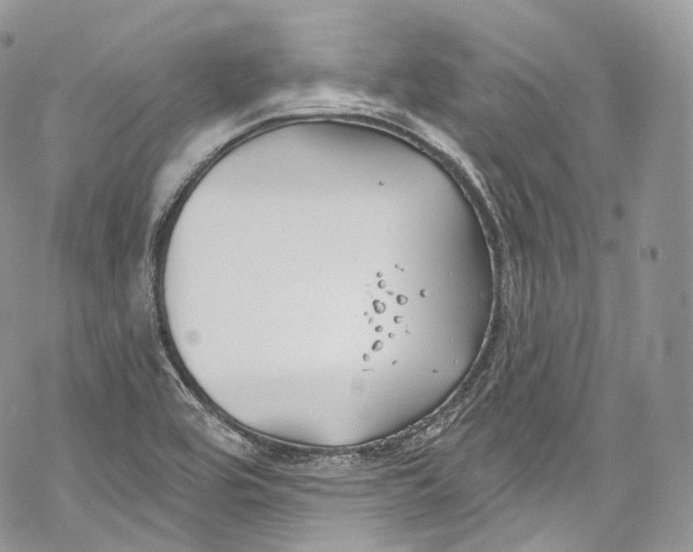 X0000069361464200606021441