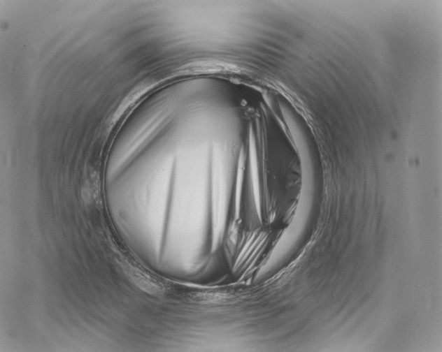 X0000069361465200606021441